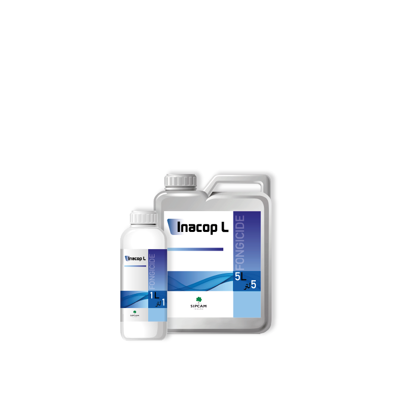 Inacop L - Sipcam Algérie